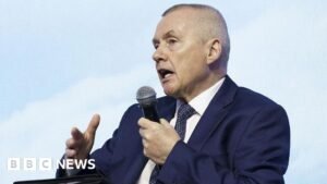 IndiGo names former British Airways chief William Walsh as CEO - BBC