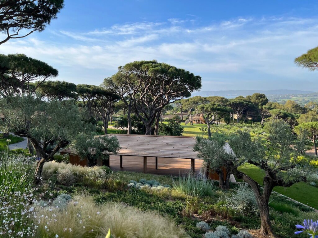 Luxury Hotel Rate Inflation: What Is Driving This Frustrating Trend?