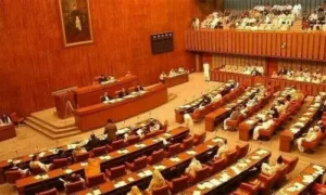 Senate panel orders probe into PIA crew misconduct - Pakistan