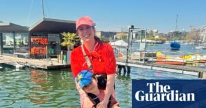Woman stranded in Dusseldorf after return UK flight blocked over Home Office admin error | Home Office
