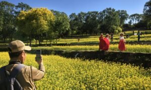Tourists snap a picture at the Zhongwu Park in Beijing on May 4, 2026 during the May Day holidays which have seen a travel boom. Photo: Liu Yang/GT