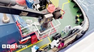 Hantavirus may have spread between passengers on cruise ship, WHO says - BBC