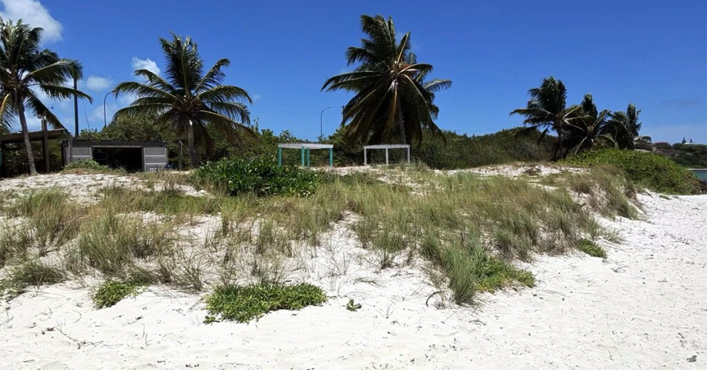 breezyswing beach