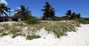 breezyswing beach