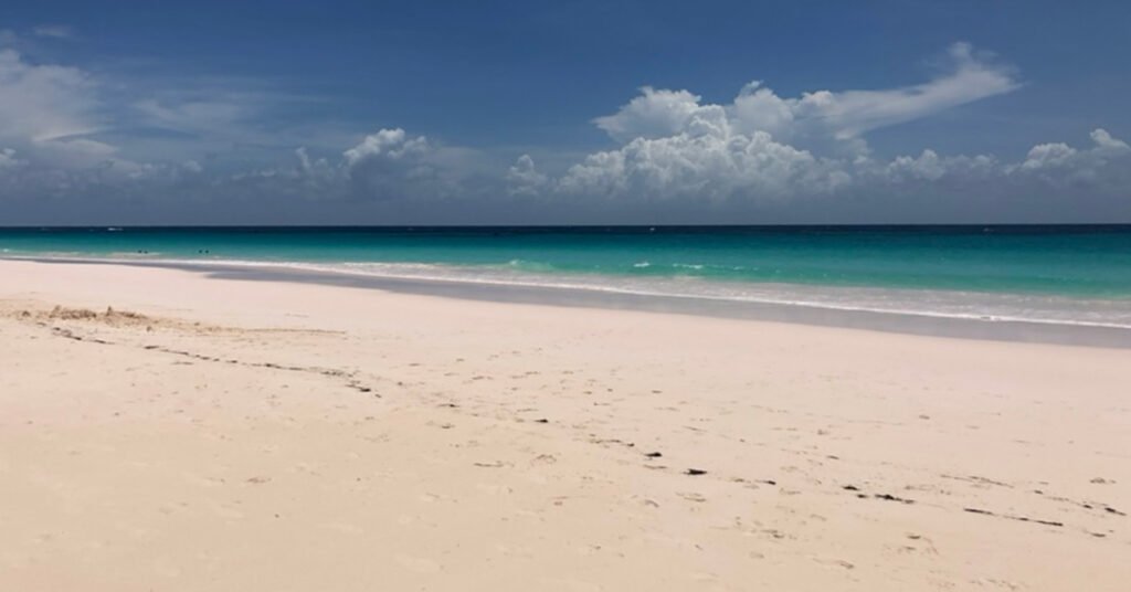 pink sand beach harbour island